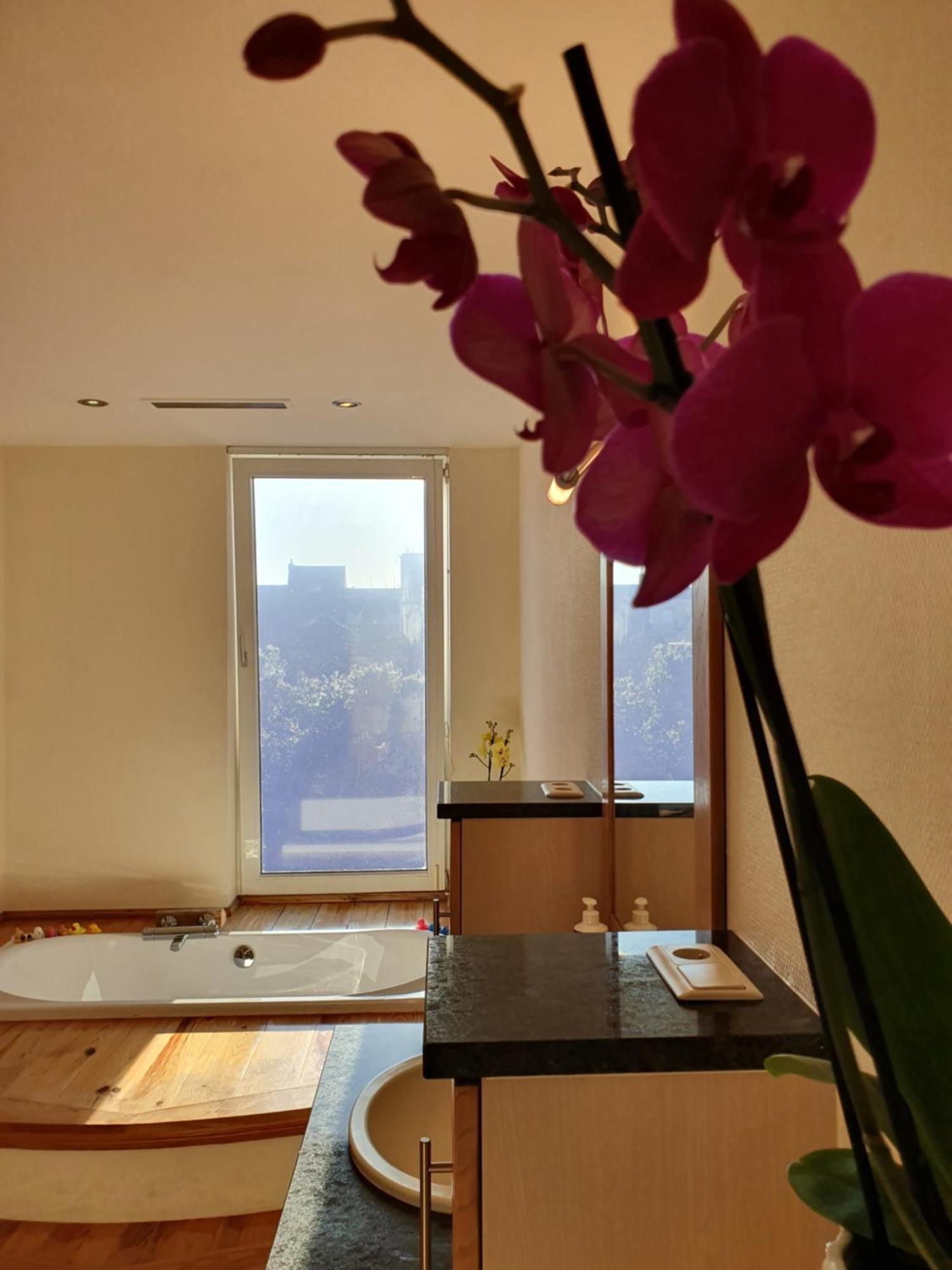 Huize La Passion Vacationhouse 10 Min Walk From The Sea * Middelkerke